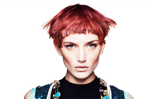 北京高端網(wǎng)站建設公司-湯尼英蓋