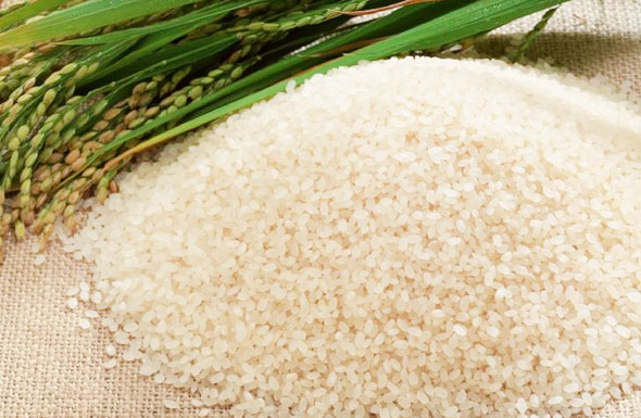 北京高端網(wǎng)站建設(shè)公司-中國優(yōu)質(zhì)農(nóng)產(chǎn)品開發(fā)服務(wù)協(xié)會農(nóng)產(chǎn)品加工業(yè)分會