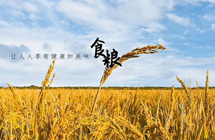 北京高端網(wǎng)站建設(shè)公司-國瑞米業(yè)